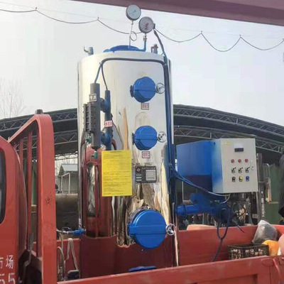 direct deal 0.2 Biology steam Generator Fuel Gas generator Exemption from inspection and certification