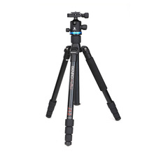 ���ZIF28+ ���I�η����C�z���y����֧�����Ǽܿɲ��_�����μ�