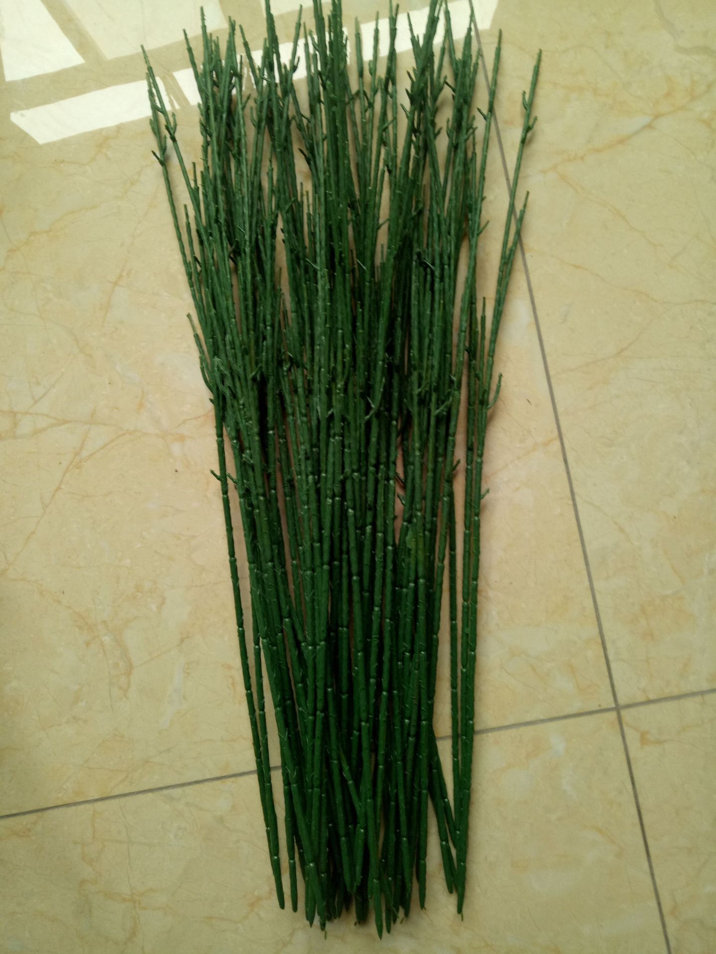 Camera RollIMG20190329124934