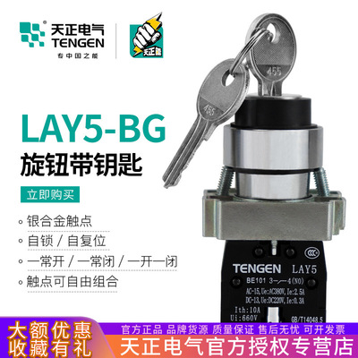 天正 LAY5带钥匙旋钮开关电源锁转换25锁定XB2 NP2-BG21一常开33