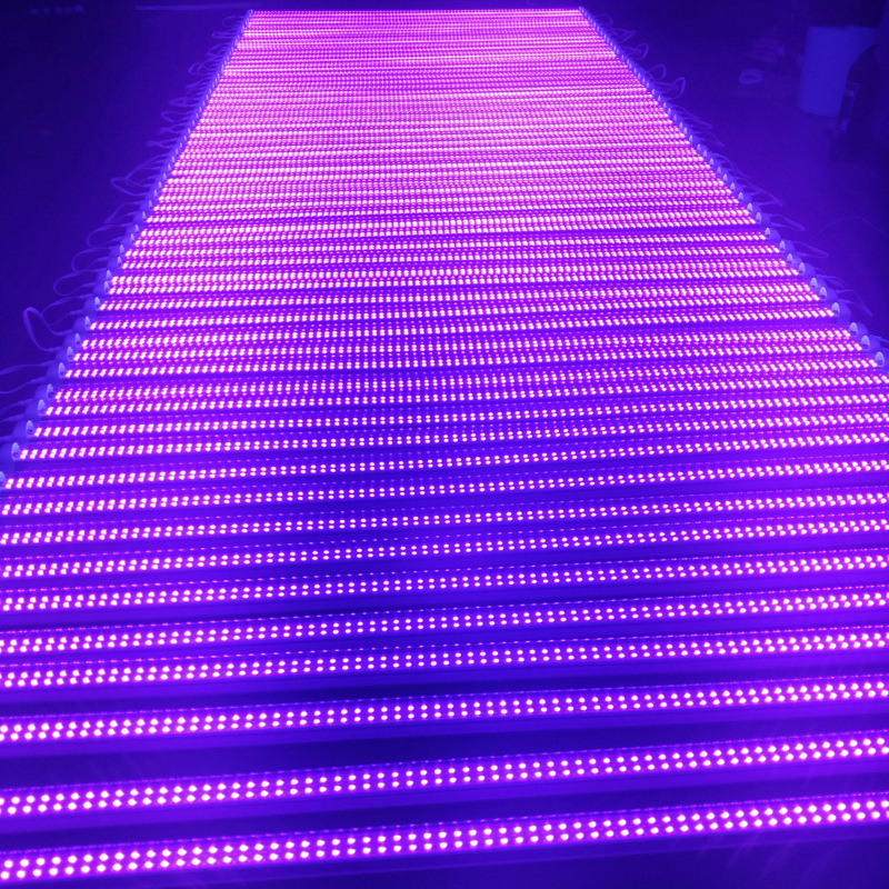 Manufactor wholesale Double row LED UV lamp 365/395NMUV Ultraviolet lamp Groups of plastic UV Light curing adhesive