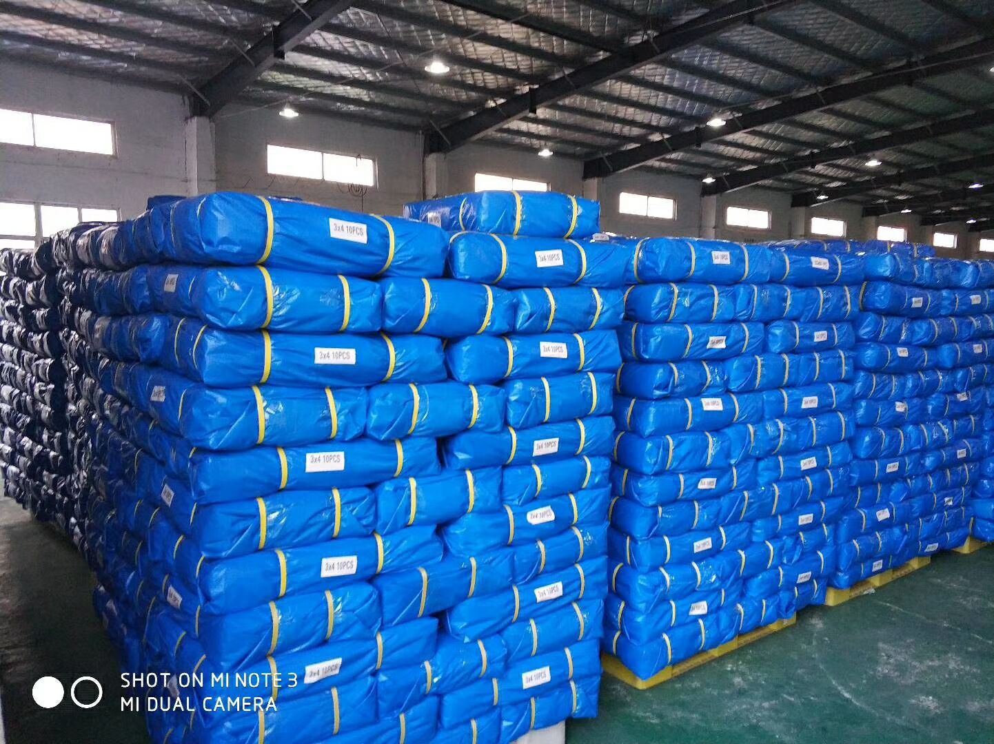 图片20190217093359