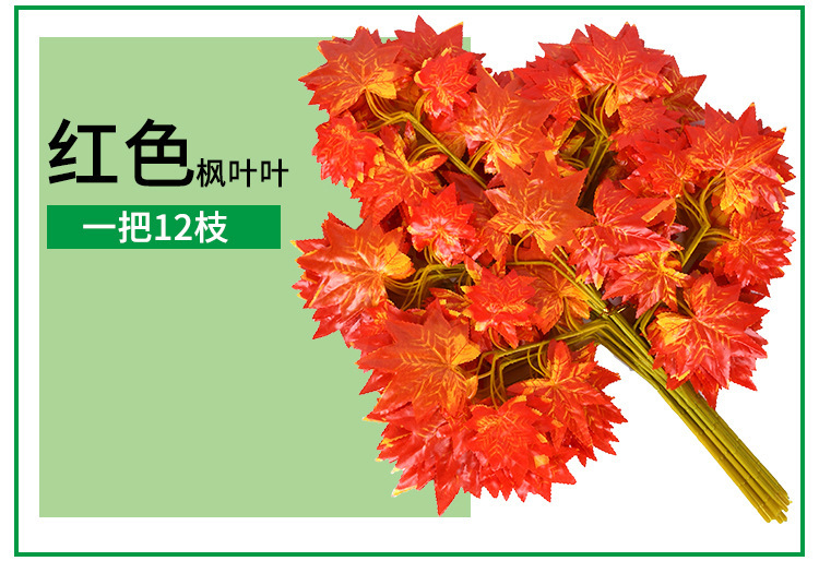 10772957005_237492366