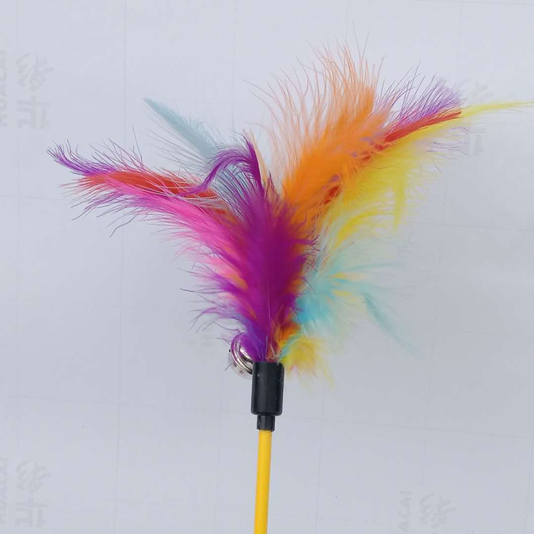 微信图片_20190411202151