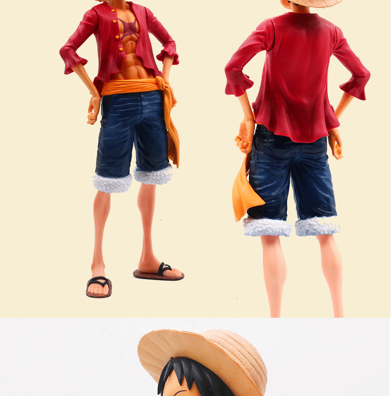 Detail of Smiling Luffy