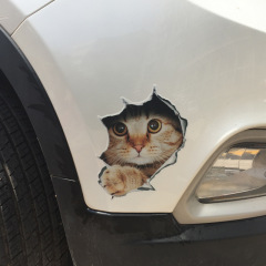 New 3D stereo Pekingese funny car stickers cute little cat wolf head creative car stickers one piece shipment 
