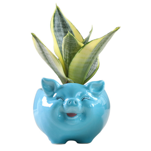 Simple Nordic cartoon animal succulent flower pot ceramic creative gardening hydroponic flower pot home decoration ornaments