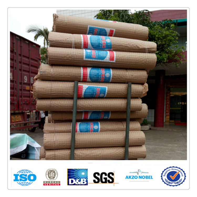 厂家 供应镀锌网 1/2电焊网电焊网片 建筑网片 镀锌铁丝网