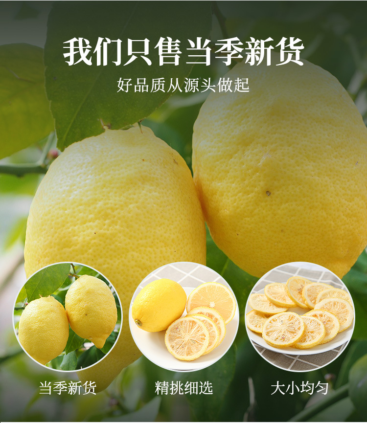 柠檬片-详情_05.jpg