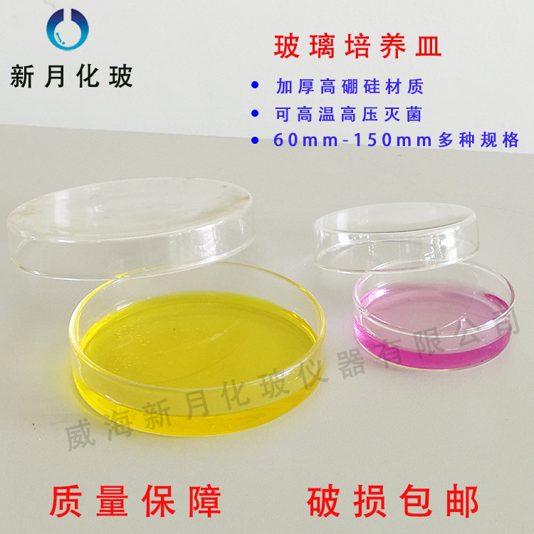 价格详询 量大从优 五一牌玻璃培养皿玻璃平板玻璃平皿细菌培养皿