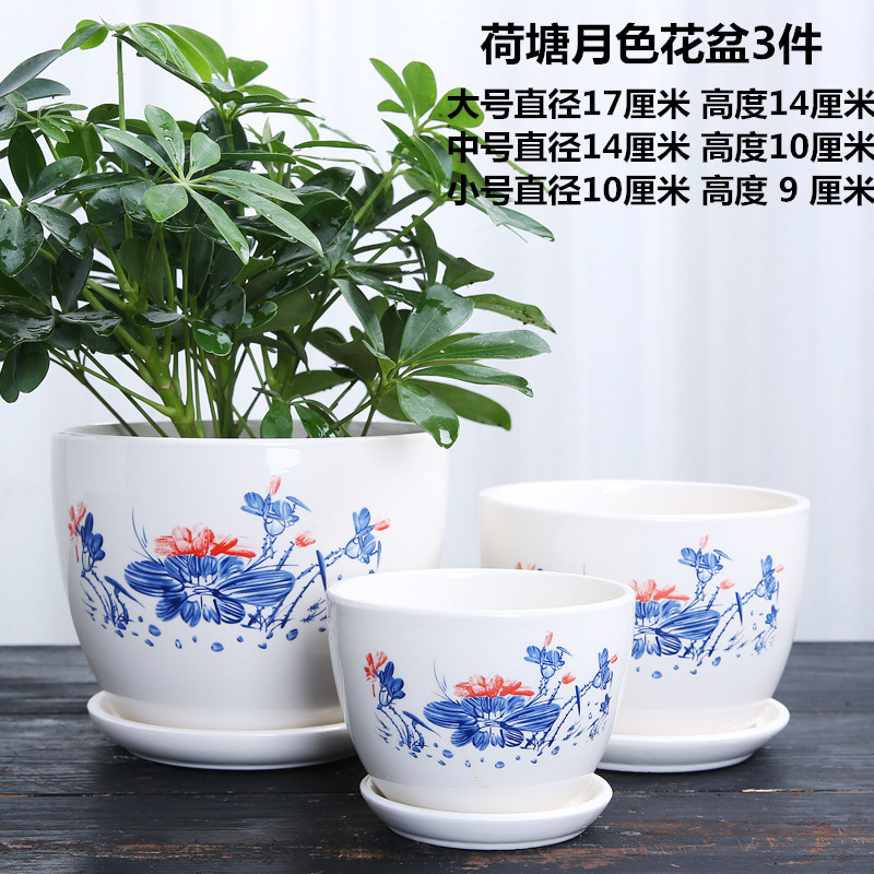 114A1942 副本_副本