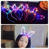 Feather Flower Ring Blogen Cat Ear Hair Human Rabbit Ear Mickey Ears LED Light Poor Wholesale