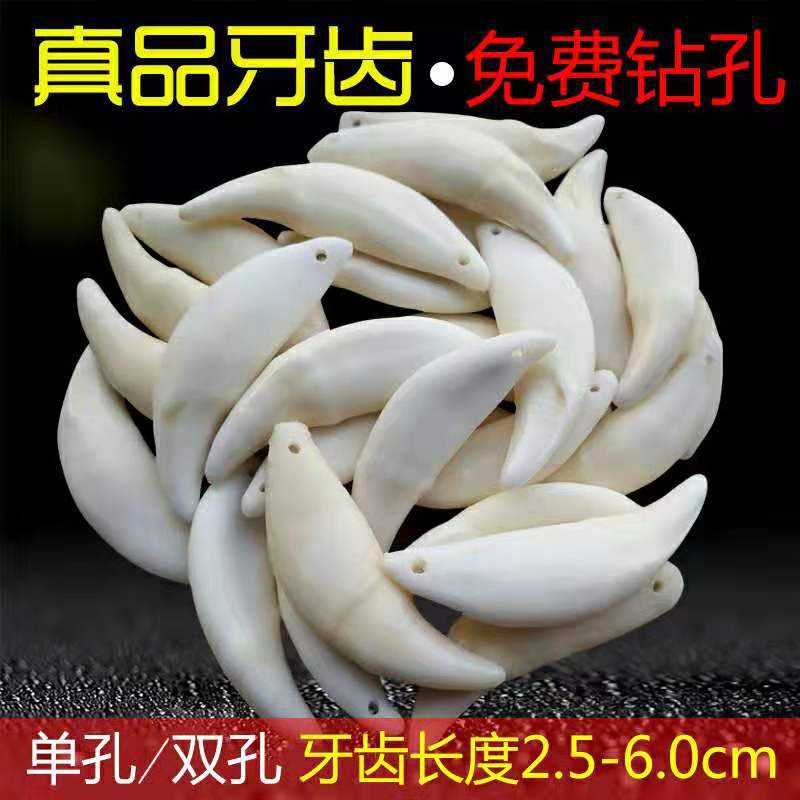 微信图片_20190128175204