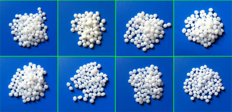 4204854428_2081878412