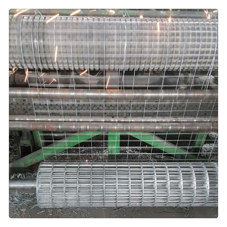 工厂生产电焊网生产厂家加工生产镀锌电焊网改拔丝电焊网