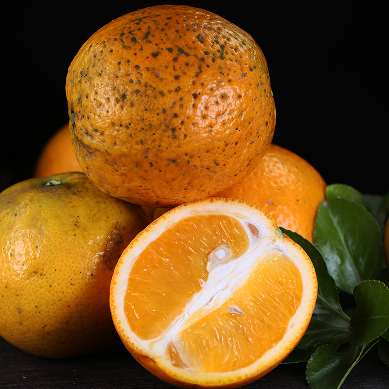 宜橙果园 夏橙绿橙残次果B果 花斑果内裂果丑橙子渣果 仅适合榨汁|ms