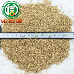White Mustard Seeds (Pure, Unselected) 1kg Bulk, Directly Supplied from Origin, Nourishing Trust Source Traditional Chinese Medicine