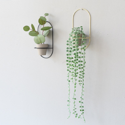 墙面仿真多肉植物壁挂绿植客厅餐厅壁饰店铺装饰创意挂件