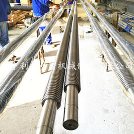 山东大型丝杆定制加工 大直径120精密梯形丝杠定做 加长12米丝杠