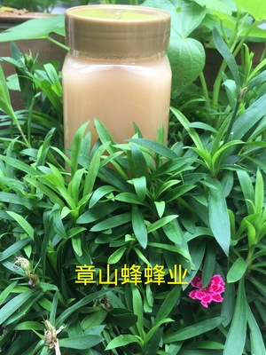 新百花蜜 百花土蜂蜜 百花原蜜 结晶蜂蜜 一件代发农家蜂场直批