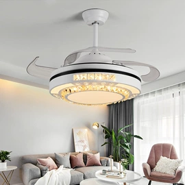 风扇灯;普通白炽灯;吊灯