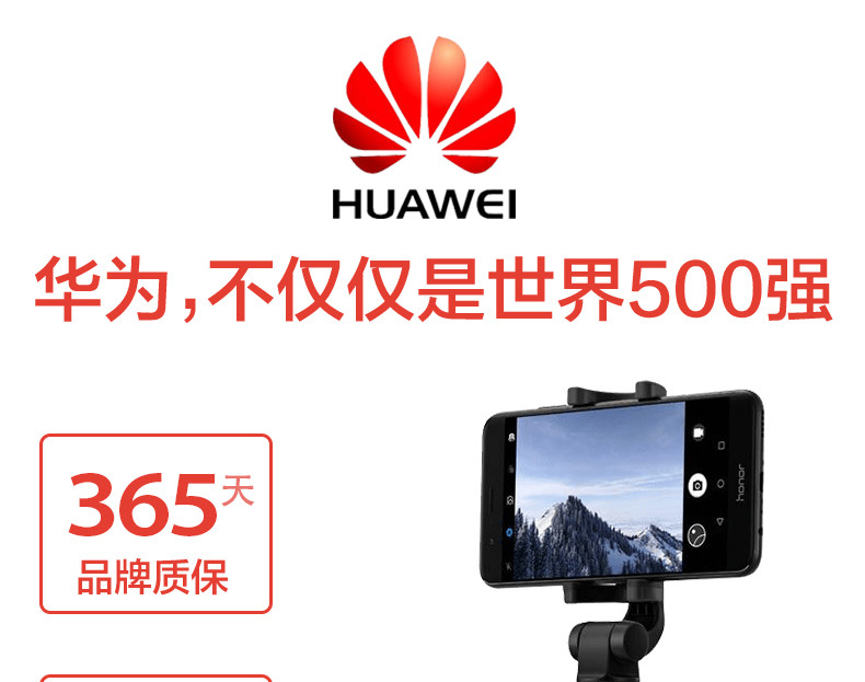 Perche selfie - Ref 3387211 Image 5