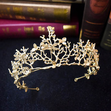 �����Ʒ�����Wʽ���Ѱl� ��Ʒɭϵ�͹Ű���˻ʹ��^l�����l