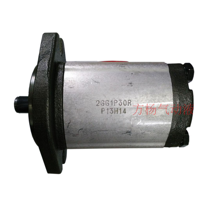 2GG1P07R 齿轮泵 HONOR 高压齿轮泵 2GG1P05R 2GG1P06R|ms