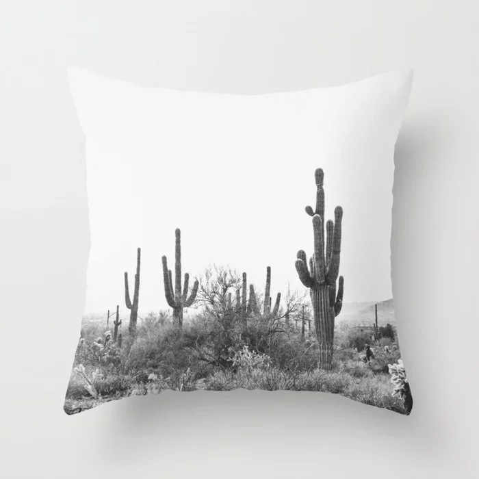 desert-x-scottsdale-arizona-pi