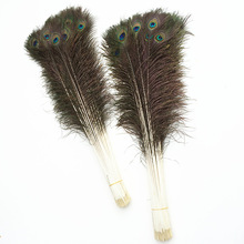 ���x���|��ȸë110-120cm����ë�ҾӔ[����ë�OӋ��̨����