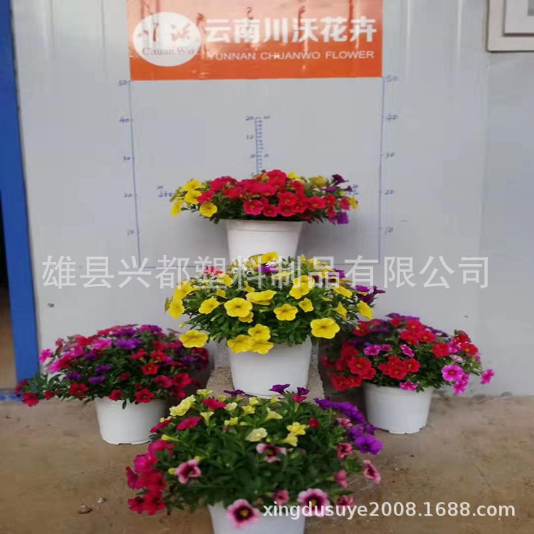 微信图片_20190727154145