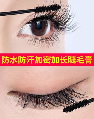 胺基酸4Dins星空睫毛膏女纤长嫁接浓密卷翘防小细刷头LEISE