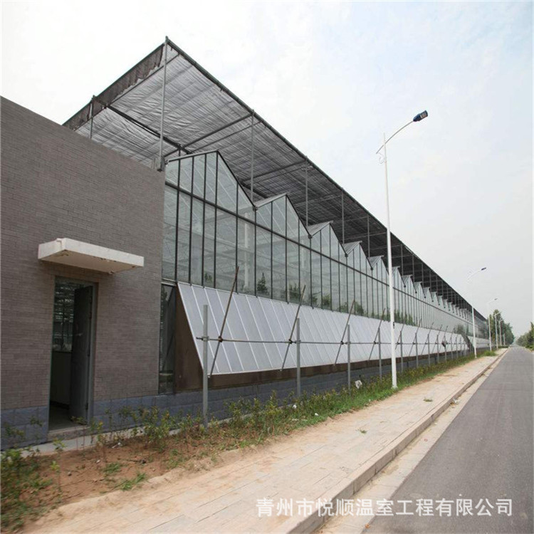智能温室 新型蔬菜大棚骨架智能大棚 玻璃温室 连栋温室厂家供应