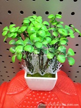 仿真四叶草 植物仿真小草 盆栽装饰