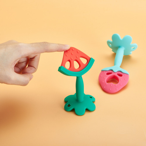 Newborn Baby Fruit Teether, Baby Grinding Ruler, Fruit Silicone Teether, Hole Teether with Storage Box