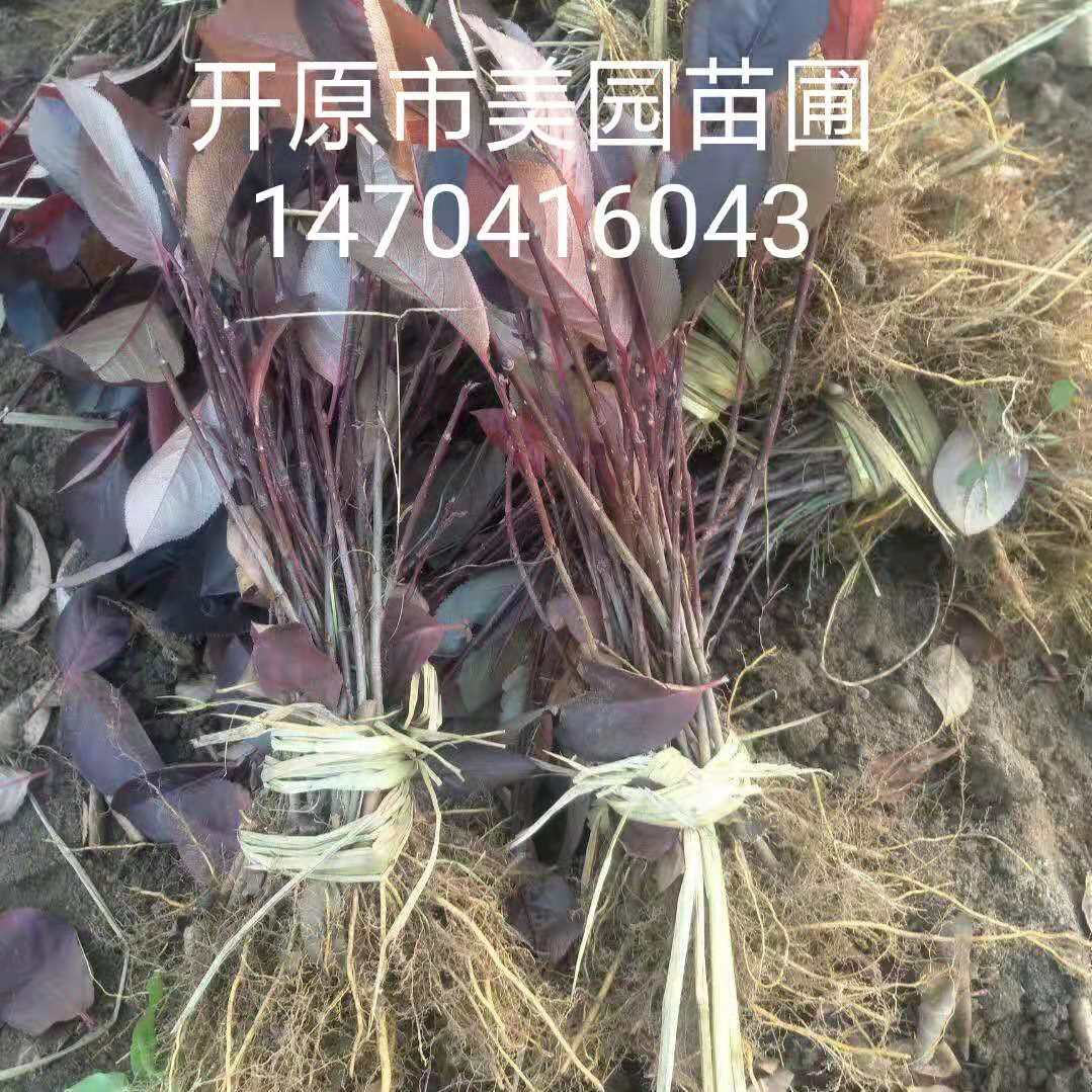 微信图片_20190223114708