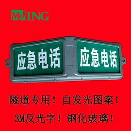 应急指示灯具;应急电源;隧道灯具