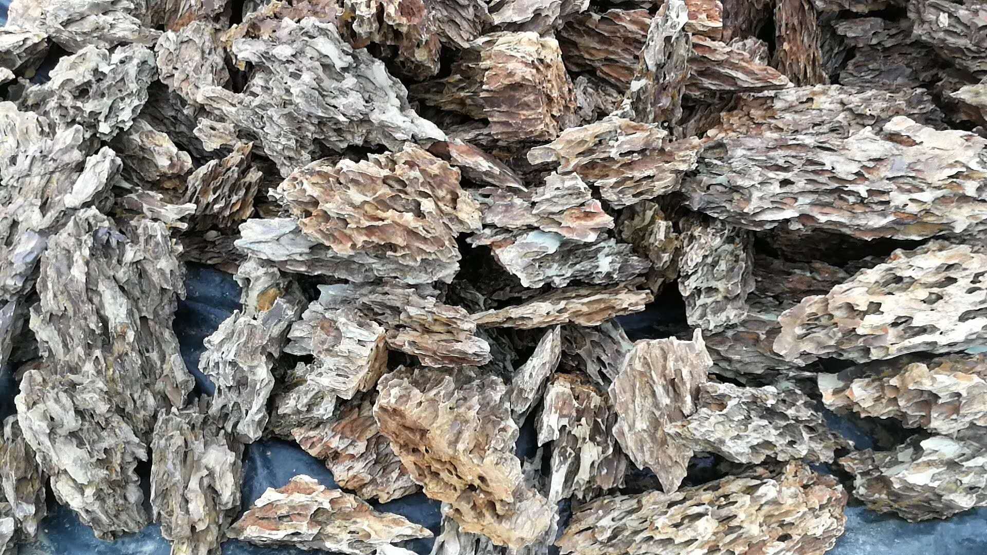 鱼缸造景松皮石又叫虎皮石多孔美观还有特价木化石大量批发青龙石-阿里巴巴