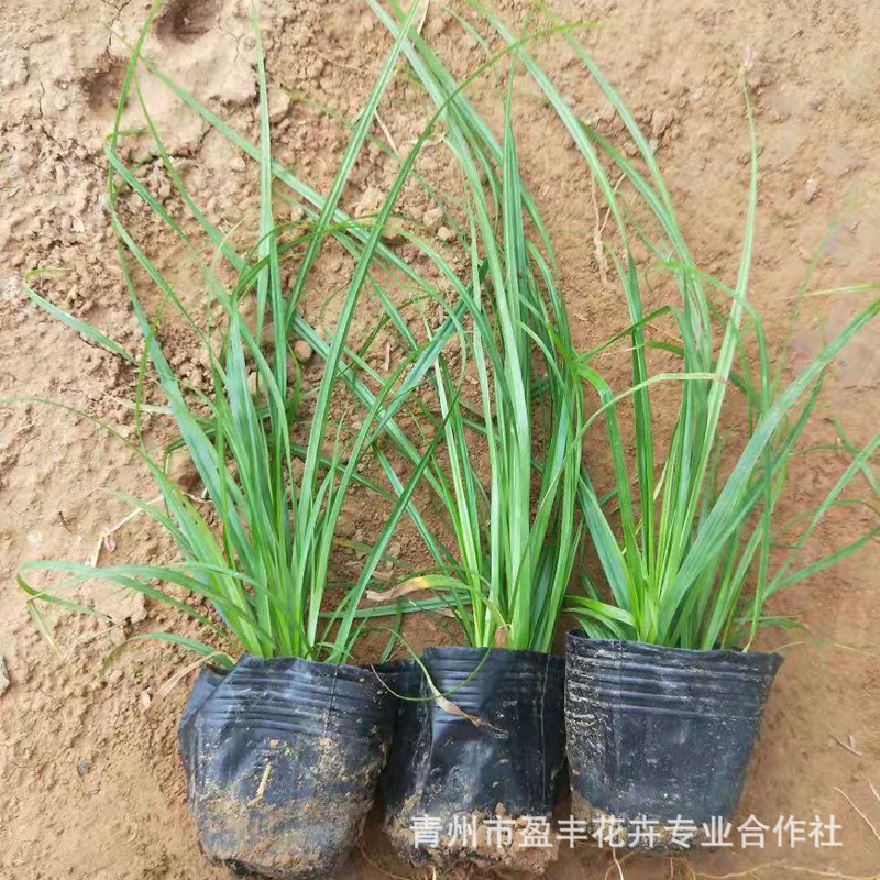 微信图片_20190726093047