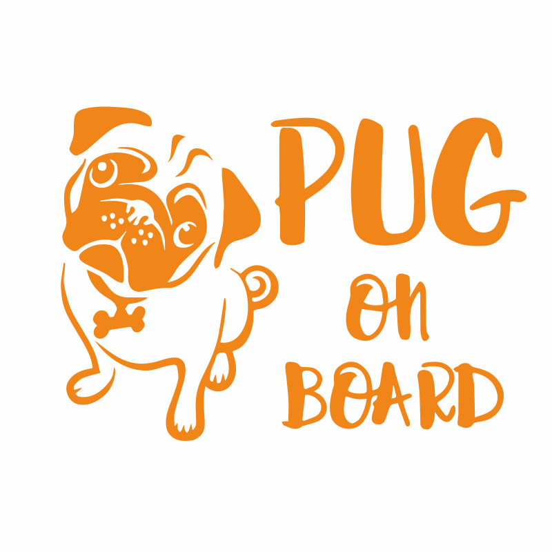 ypug on board