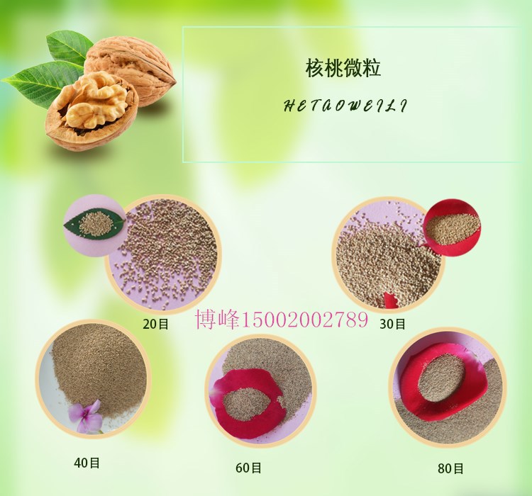 核桃粒子00_副本