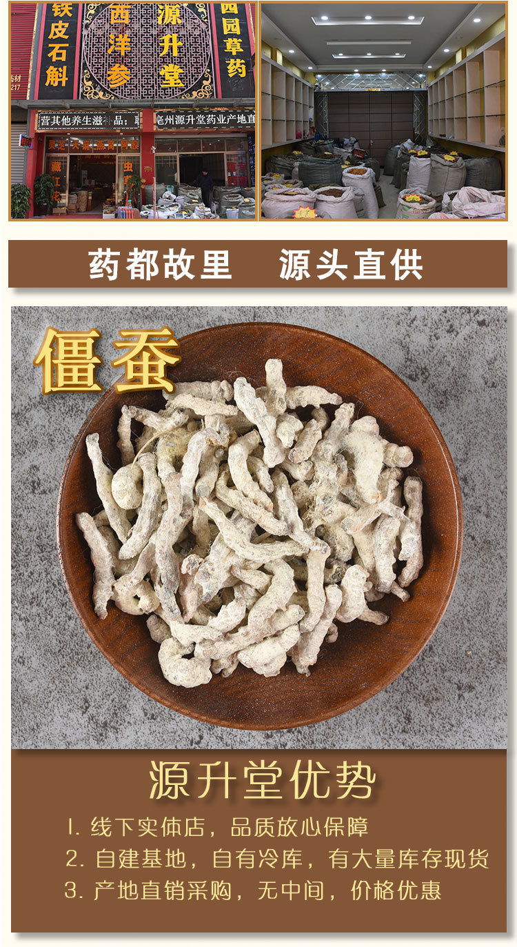 Bai Jiang Can (Bombyx batryticatus) — Sulfur-Free Dried Stiff Silkworm for TCM Decoction overview