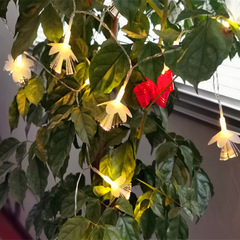 Factory Direct Sales Fiber Optic Fairy Light String, Girl's Heart Room Decor, Ins Small Color Lights, Christmas Festival Decor, Flashing Lights