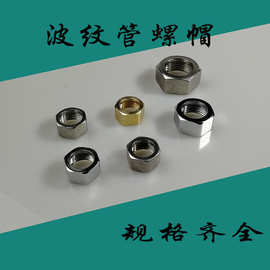 厂家批发 4分/6分/1寸 不锈钢波纹管专用螺母 不锈钢螺帽/ 铜接头
