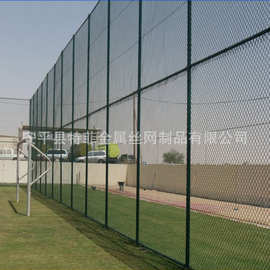 养殖勾花网围栏 球场菱形勾花网围栏 菱形铁丝网 绿色围网 球场
