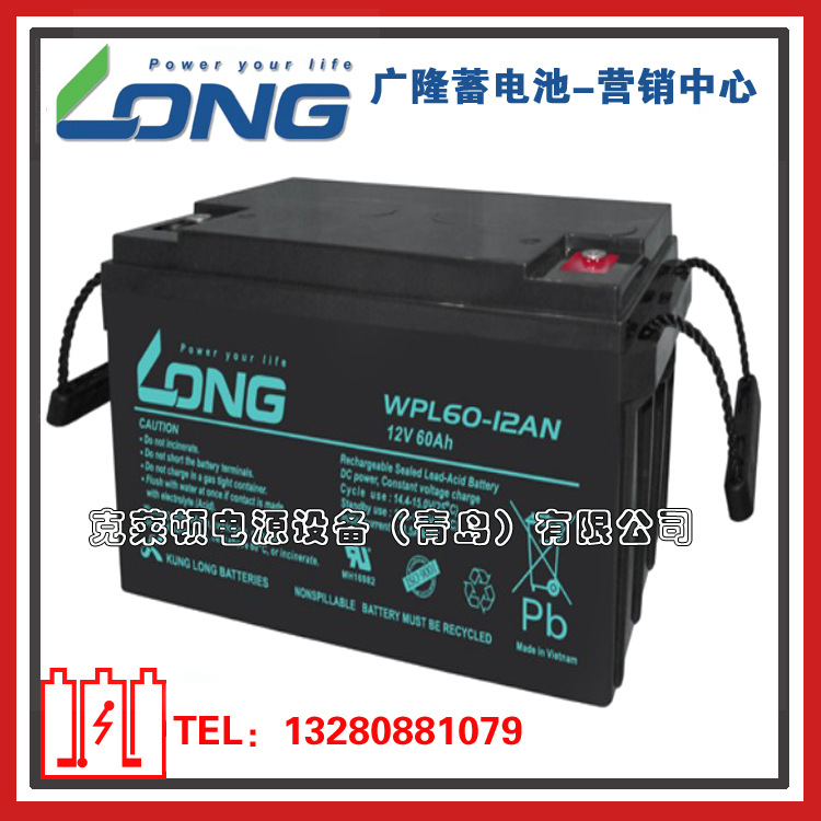 LONG广隆蓄电池WPL65-12AN/12V65AH电力设备UPS电源电池