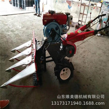 rôJȔոC ~s СC݆C 