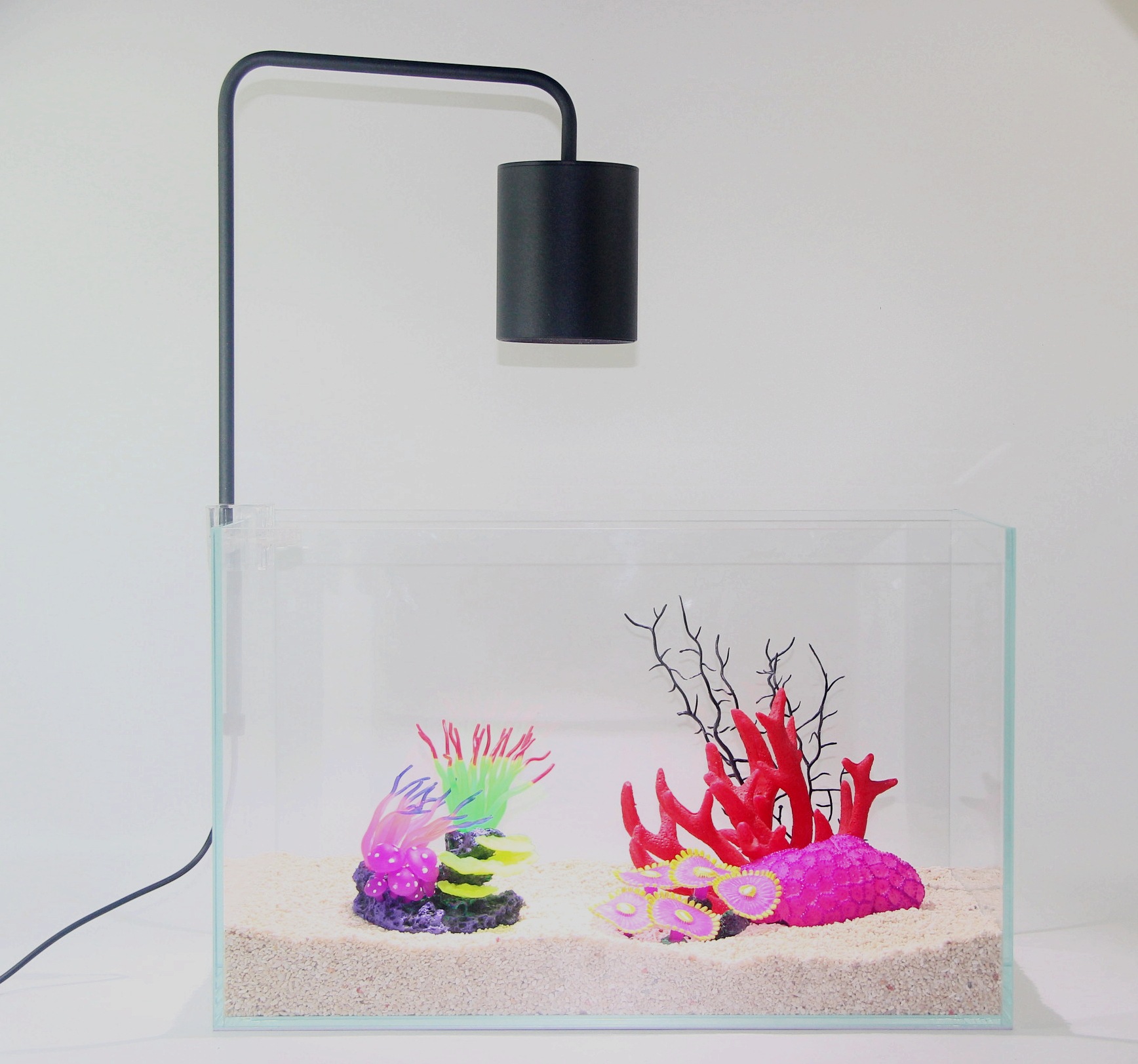 微信图片_20190406150750