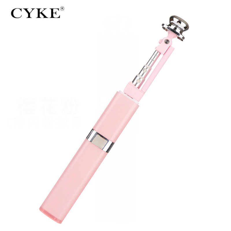 Bâton selfie en Acier inoxydable - Ref 3387267 Image 3