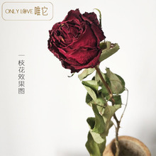�����S�����l��֧õ��ɻ����� �L�ɻ����滨Ǭ�ﻨ�Ӽ��b[��